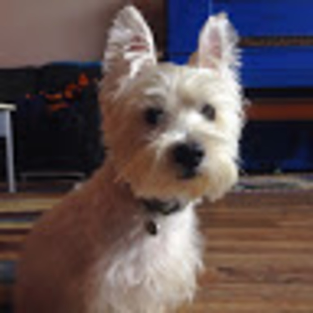 Meet your Posher, Hilary
